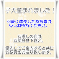 産まれました